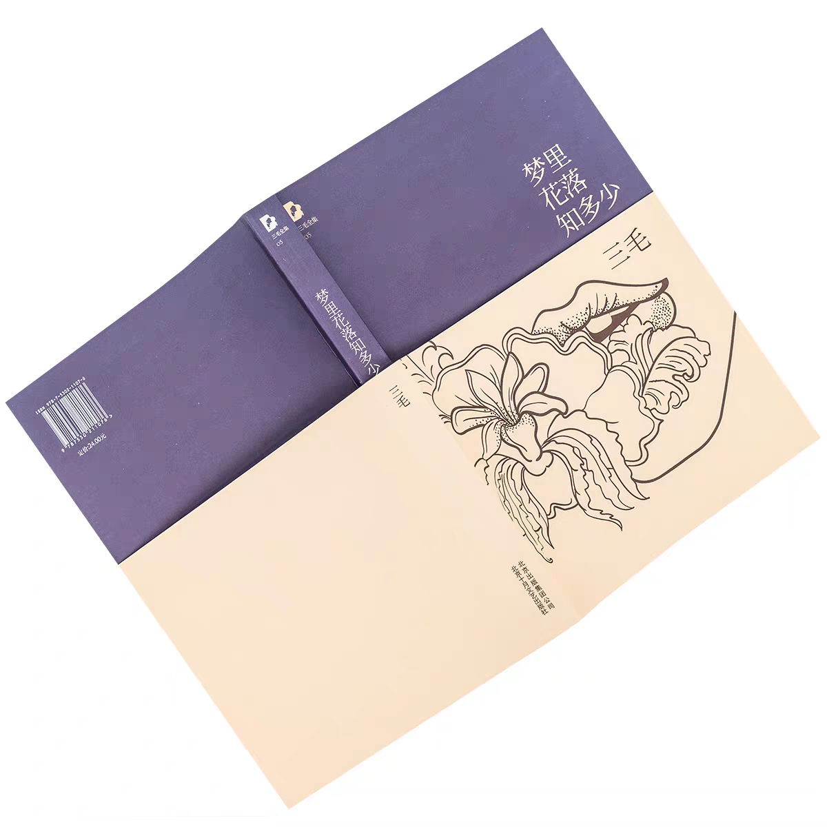 82 三毛《梦里花落知多少》：失去荷西后，三毛的哀与痛 episode artwork