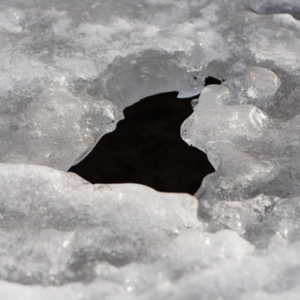 Track：我们为什么沉迷真实罪案故事（下）公正与正义