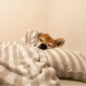 大家说我们要感恩...那，第一步...我们先学会感谢自己~