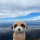 乘着宇宙的风_9AL3