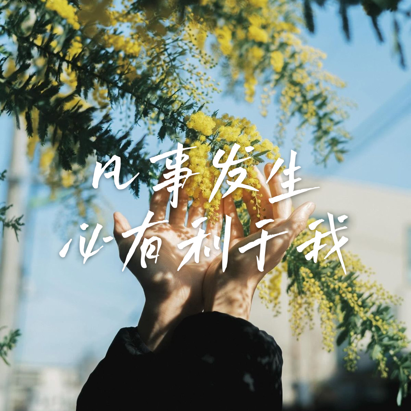 07 重新审视“吃亏是福” | 哪些亏该吃，哪些亏要跑？ episode artwork