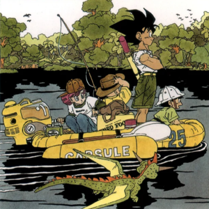 156)欢迎来到异想天开的世界:《Dragon Ball》(龙珠) 卷十九