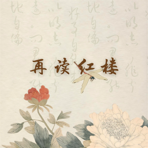 新年伊始：重读红楼，关于风月宝鉴背面的思考