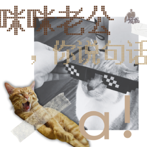番外/ 养宠人心声：猫咪老公，你说句话呀！