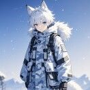 是fox不是box