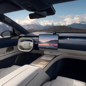 Vol.045 蔚来ET9和萤火虫的各种争议、出人意料的用户调研结果 ｜月度点评