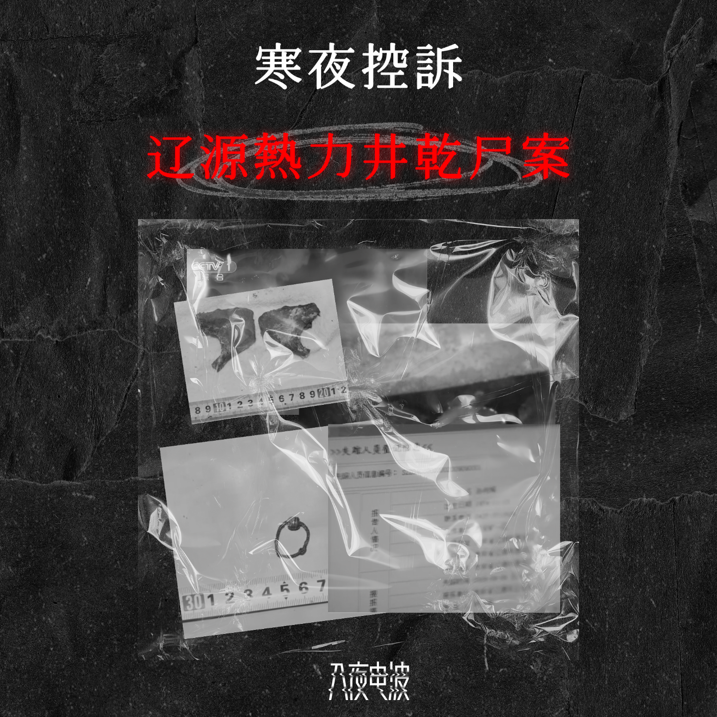 027.寒夜控诉，辽源热力井干尸案 episode artwork