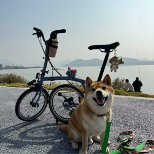 EP28.回声室 | 载着Tom和Jerry去上班，我们聊到了地球另一端