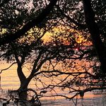 生命万岁万万岁