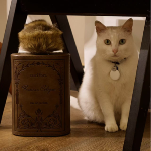 03 如何做一家梦想合作社