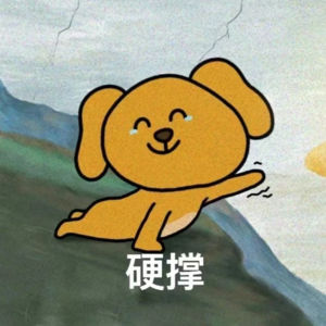 Vol.30 大家评评理｜最奇葩的旅行伴侣让我遇到了