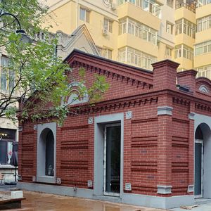 艾莉玛和朋友们