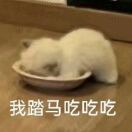 温暖的冷风_4DWV