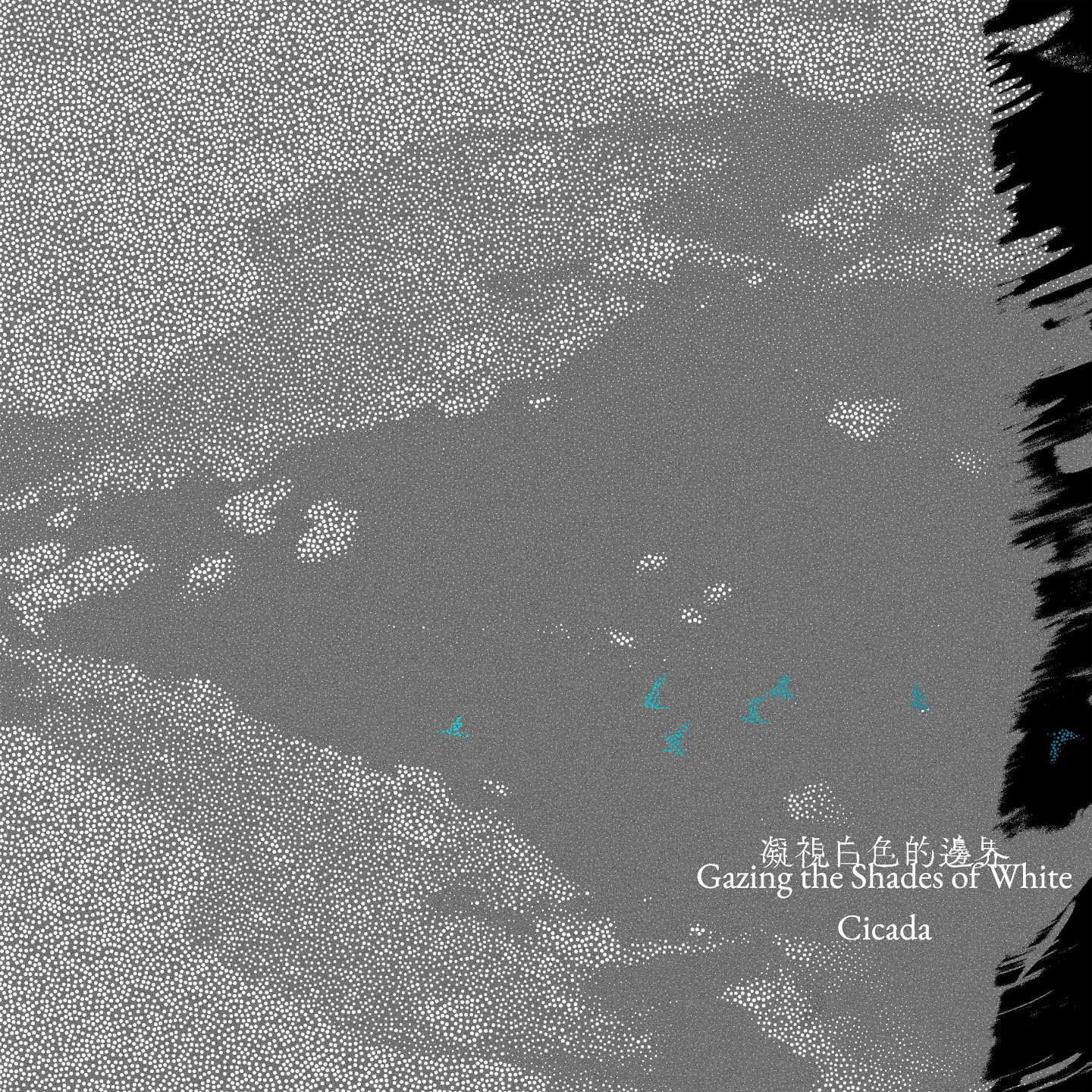 Cicada - 凝视白色的边界 episode artwork