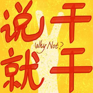 Why Not 说干就干