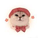 welo_4obm