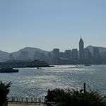 不会转圈的长颈鹿