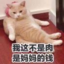 猫老师_OkpU