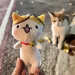 生椰猩球