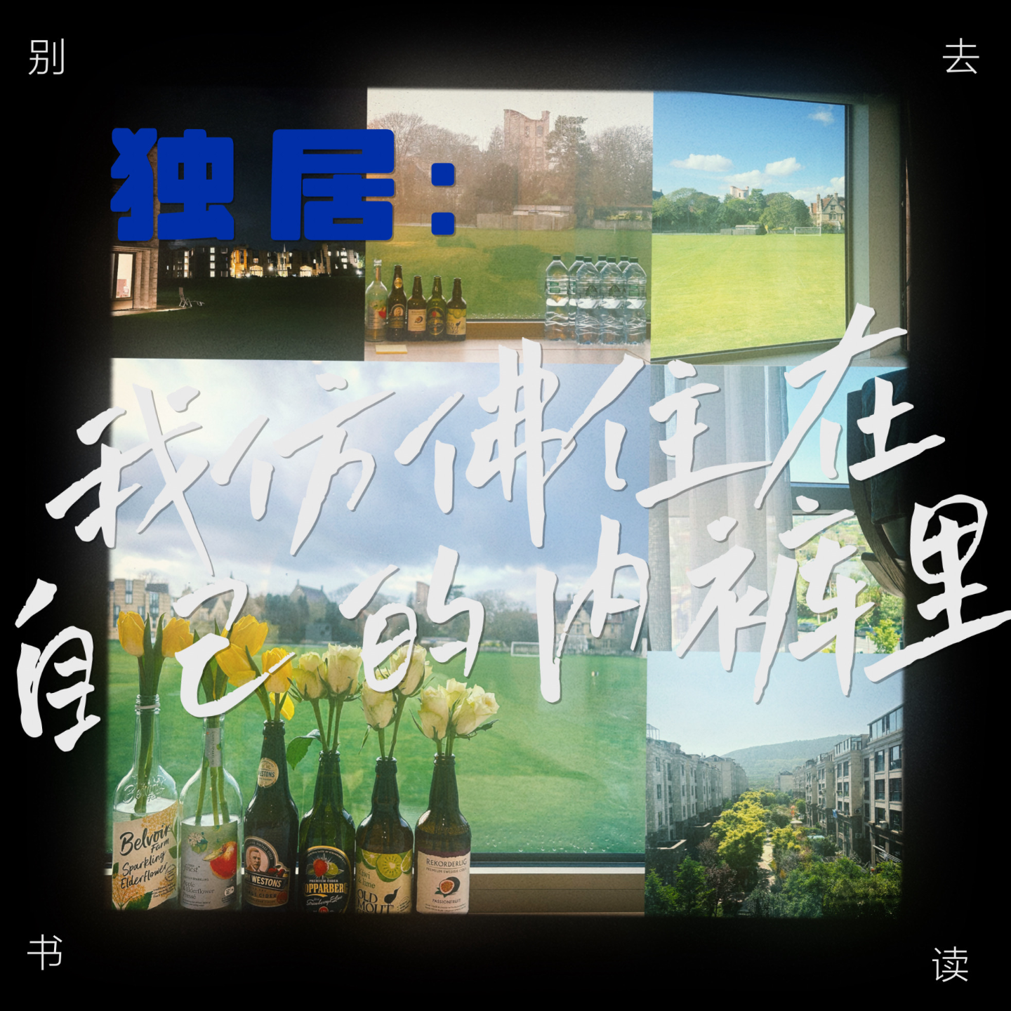 cover of episode 051 / 独居是我仿佛住在自己的内裤里