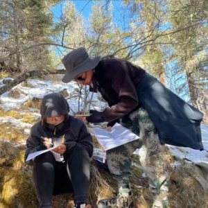 4. 在GAP期与地球约会，生命多美丽！🌿🐬