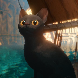 【粤语】没有“愚蠢的人类”，哪来可爱的猫猫（《猫猫的奇幻漂流》）