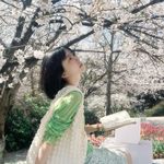 汐霞