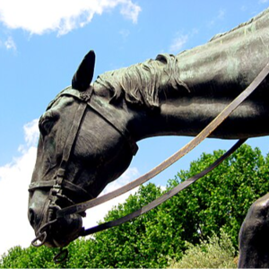 茨威格和那些含“马”量高的文学作品 | 马年说马