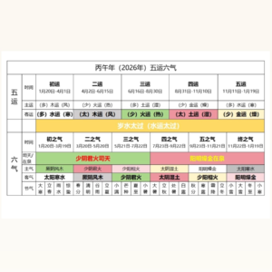Vol.40 今年“运气”如何?丙午年五运六气解析与溯源