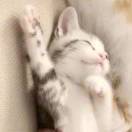 人为什么要上班_Dp69