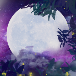 唐绮阳鸡酒屋-最难算计的12星座