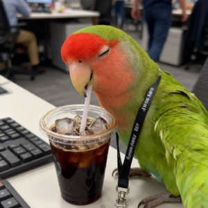 比起时间管理，中年人更需要这份“能量管理”指南