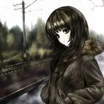 在梦里我会飞