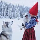 小狮子不是大猫