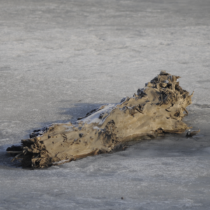 10-当我们谈论东北的时候，我们在谈论什么