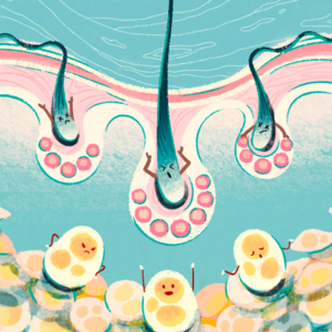 E001 👴掉秤还是掉发?|“无名鼠辈”断食研究给我们什么启发