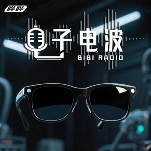 「亲历亲为」017-Vision Pro平平平替？雷鸟眼镜体验报告
