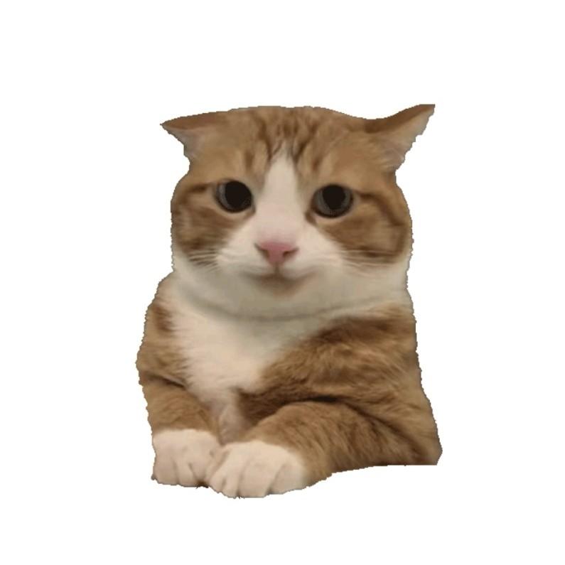 问题不大的牧阳