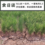 一头牛、一亩地与5.2万亿保障：农业保险的真相 | Vol.68