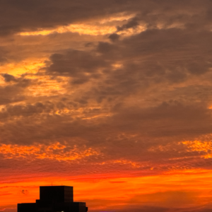 8月新歌，在夏天的尾巴听方大同、Luna Li、beabadoobee...