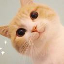 Carol_cWT2
