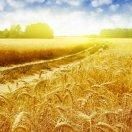 郑州吴东律师的个人播客