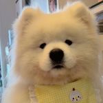 月亮不在稻田嘻哈