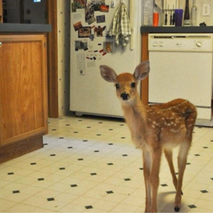 VOL204.今日立秋：发生的每一件事都挺意外的，生活就是我的素材。