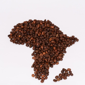 #01.EN-The Odyssey of Coffee☕️