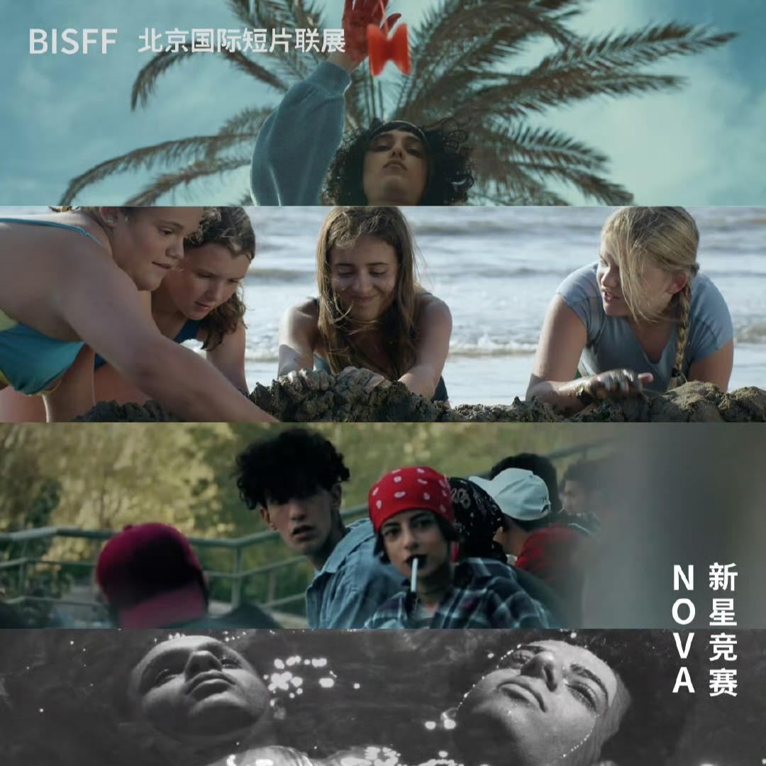 42. 专访BISFF新星竞赛单元策展人桑霓：忠于直觉的真诚创作本身就是一种探索精神 episode artwork