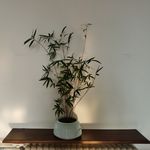 一诺_gsj7