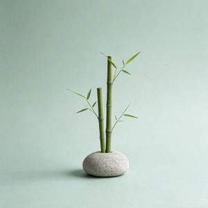 毁掉你的，是四处分散的注意力