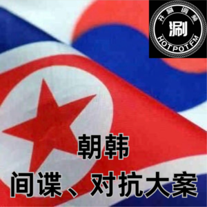 开涮说案 朝韩特工渗透大案