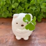 火山口的幸运鱼丸